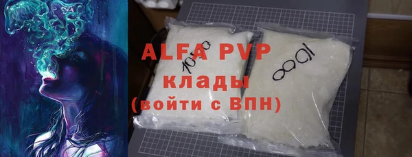 сатива Бородино