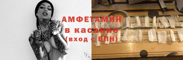 сатива Бородино