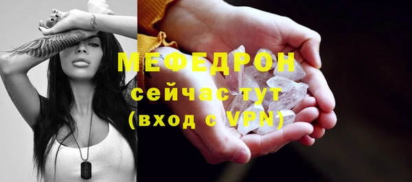 сатива Бородино