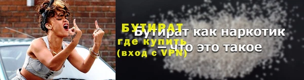 сатива Бородино