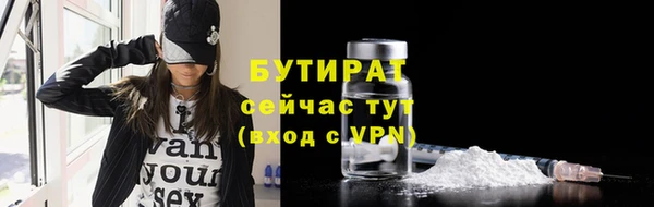 сатива Бородино