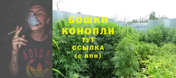 дурь Бугульма