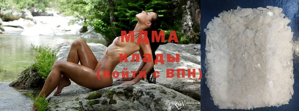 сатива Бородино