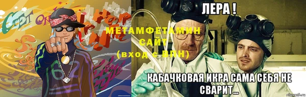 сатива Бородино