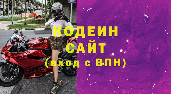 сатива Бородино